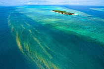 Red tide, Heron Island, Great Barrier Reef, Queensland, Australia