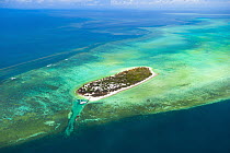 Tropical island with red tide, Heron Island, Great Barrier Reef, Queensland, Australia