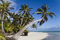 Tropical island, Keeling Islands, Australia
