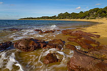Coast, Red Rock Beach, Phillip Island, Victoria, Australia