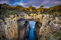 Rock arch, Tasmans Arch, Tasman National Park, Tasmania, Australia