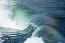Wave, Western Cape, South Africa