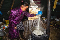 Tsaatan woman making traditional salt tea in the morning, Khovsgol, Mongolia