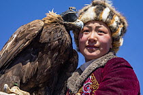 Golden Eagle (Aquila chrysaetos) huntress, Altai Mountains, Bayan Ulgii, Mongolia