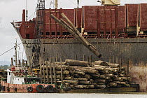 Logs being loaded on ships bound for China, Rajang River, Sarawak, Borneo, Malaysia