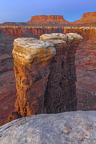 Junction Butte and sandstone formations in Monument Basin at sunrise, Canyonlands National Park, Utah