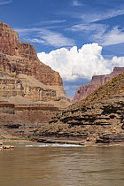 River running through sandstone cliffs, Conquistador Aisle, Colorado River, Grand Canyon National Park, Arizona
