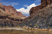 Schist and limestone, Colorado River, Grand Canyon National Park, Arizona
