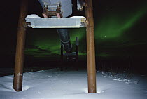Aurora borealis over pipeline in the winter, Haul Road, Dalton Highway, Alaska