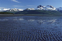 Mountains towering above mudflats, Hallo Bay, Katmai National Park, Alaska