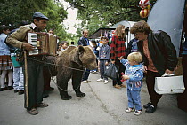 Brown Bear (Ursus arctos) captive animal with owner playing accordion performing on the street for passers-by, Bulgaria