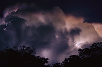 Lightning in tropical storm over rainforest, Brazil