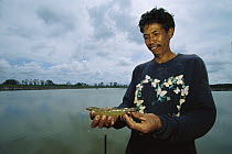 Black Tiger Shrimp (Penaeus monodon) held by farmer, mangrove forest in Mahakam Delta, 80% destroyed in 2001 because of this industry, East Kalimantan, Indonesia