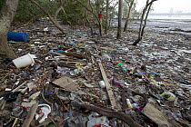 Polluted mangrove forest and beach littered with trash and plastic, Singapore