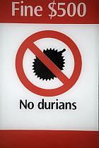 Durian (Durio zibethinus) sign forbidding Durian fruit in Singapore tram because of their unpleasant smell, Singapore