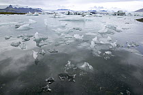 Icebergs from Vatnajokull Glacier, Jokulsarlon Lagoon, Iceland