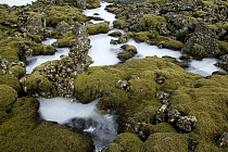 Natural hot spring containing cyanobacteria, seawater is heated from seeping beneath the lava, Reykjanes Peninsula, Iceland