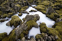 Natural hot spring containing cyanobacteria, seawater has been heated after seeping beneath the lava, Reykjanes Peninsula, Iceland