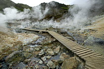 Steam rises up from vents surrounding walkway through hot springs, Iceland