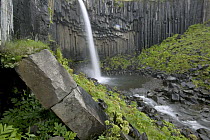 Svartifoss Waterfall flanked by basalt columns, Skaftafell National Park, southeast coast, Iceland