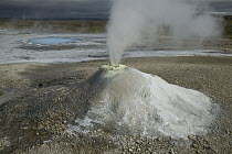 Steaming solfatare or fumarole, geothermal activity, Hveravellir, central Iceland