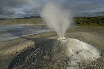 Steaming solfatare or fumarole, geothermic activity, Hveravellir, central Iceland