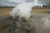 Steaming solfatare or fumarole, geothermal activity, Namafjall, Iceland