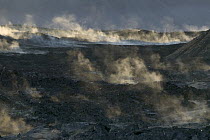 Steaming lava field still hot after the last eruption in 1984, Iceland