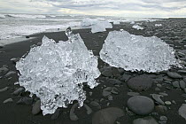 Ice from Vatnajokull Glacier on a volcanic black sand beach, Iceland