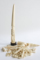 African Elephant (Loxodonta africana) ivory items without CITES documentation are seized by customs, France