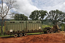African Elephant (Loxodonta africana) truck for relocation to Tsavo from Mwaluganje Elephant Sanctuary, Kenya