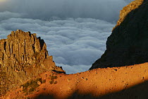 Panoramic view over the clouds from Pico Ariero, Madeira