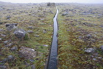 Small artificial canal called a levada, part of an ancient irrigation system, Paul da Serra Plateau, Madeira
