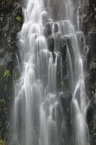 Risco Waterfall flowing over basalt, Rabacal, Madeira