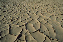 Dried and cracking mud, Skeleton Coast National Park, Namibia