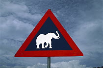 African Elephant (Loxodonta africana) road sign warning drivers of elephants crossing, near Kasane, Botswana