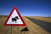 Cape Warthog (Phacochoerus aethiopicus) warning sign along side of main road, Namibia