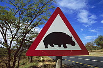 Hippopotamus (Hippopotamus amphibius) warning sign along road near Nelspruit, South Africa
