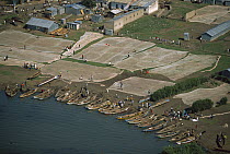 Fishing nets and boats, Karungo, Lake Victoria, Kenya