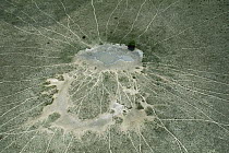 Shrinking dry season waterhole and game trails, Nxai Pans National Park, Botswana