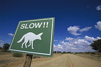 Beware of fox road sign near Kgalagadi Transfrontier Park, South Africa