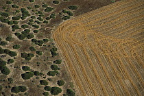 Aerial view of wheat field encroaching on natural habitat, South Africa