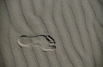 Footprint in beach sand, Oregon coast