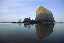 Haystack Rock at sunrise, at 235 feet high it is the third largest coastal monolith in the world, Cannon Beach, Oregon