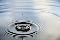 Ripples created by a drop of water splashing into a calm pool