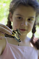 Swallowtail (Papilionidae) butterfly held by eight year old Isabel before release in the coastal mountains of Oregon