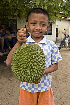 Durian (Durio zibethinus) fruit held by a young Orang Asli boy in Johore, Malaysia