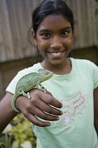 Veiled Chameleon (Chamaeleo calyptratus) juvenile female held by nine year old Lucy