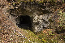 Bat gate at entrance to Gold Stake Mine in Coleville National Forest, Washington