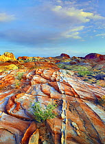 Colorful rock formations, Rainbow Vista, Valley of Fire State Park, Nevada